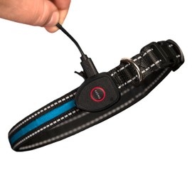 Sherry Kline LED Light-Up Pet Collar - USB Rechargeable - Flashing Glow in The Dark Size Large, Color: Blue