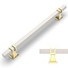 Amerdeco 10 Pack Brushed Satin Nickel and Gold Cabinet Pulls