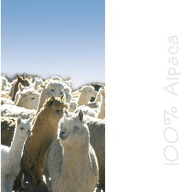 PREMIUMARMADA Pure Wool Scarf Made of 100% Wool Alpaca, Elegant Winter Scarf, Wool Scarf Made of Fine 100% Alpaca Wool, Soft, Warm, Pure Elegant Natural Hair, Unisex, Natural (Multicoloured Bright),