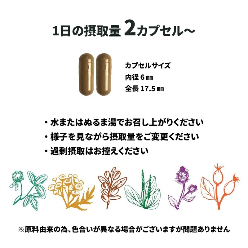 ドクダミ サプリメント 120カプセル 無農薬 無添加 植物100％【2袋セット】