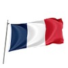 Brick Takeover France Flag - France Flags and Flags -