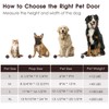 Dog Door for Wall, Dog Door with Double Magnetic Flaps,