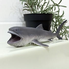 Collecta Broad-nosed Shark Marine Sea Animal Figure / 컬렉타 넓은주둥이상어 해양 바다 동물 피규어