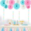 He or She Gender Reveal Party Supplies Blue Pink White