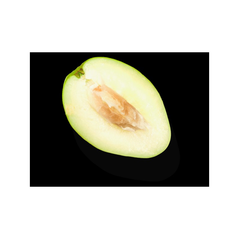 milk_shake No Frizz Allowed Perfecting Shampoo 300ml