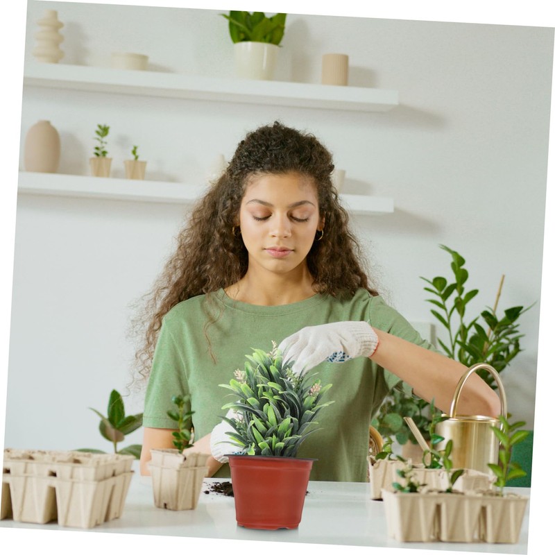 BESPORTBLE 20pcs Garden Nursery Pots Decorative Plastic Flower Pots Holes