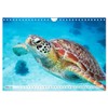 Philippines - Land of Natural Wonders (Wall Calendar 2025 DIN