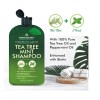 Tea Tree Mint Shampoo and Conditioner - Pure Tea Tree