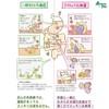 [PS] Lilac lactic acid bacteria standard for dogs and cats