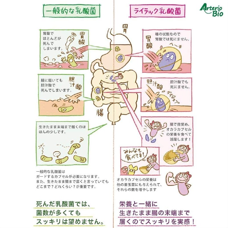 [PS] Lilac lactic acid bacteria standard for dogs and cats