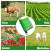 Goldshire Electric Fence Netting, 35.5" x 164' Electric Poultry Netting