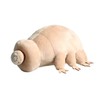 YUKOUQIAN Tardigrade Peluche de Tardigrada de Peluche de 10 pulgadas