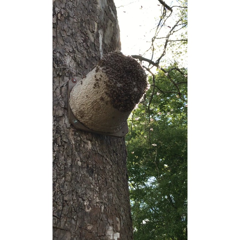 Rent A Hive Bee Rescue SWARM PRO Lure 5 pack