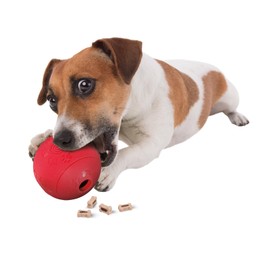 Karlie 47241 Snack Ball Solid Rubber