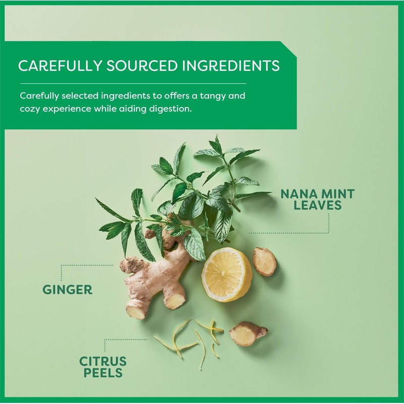 Wissotzky Nana Mint Ginger & Citrus Herbal Tea, 20 Tea
