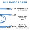 Blue-9 Reflective Multi-Function Dog Leash, Double Attachment Adjustable Lead for