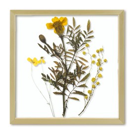 Frametory, Floating Picture Frame 8x8 - Gold Aluminum Metal Photo Frame - Real Glass of Front - for Wall Mount Displays