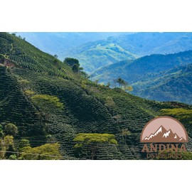 100% Arabica Colombian Medium Premium Coffee Beans (1 LB)