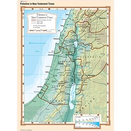 Cool Owl Maps - Palestine in New Testament Times - Wall Map Poster (24x32 Laminated)