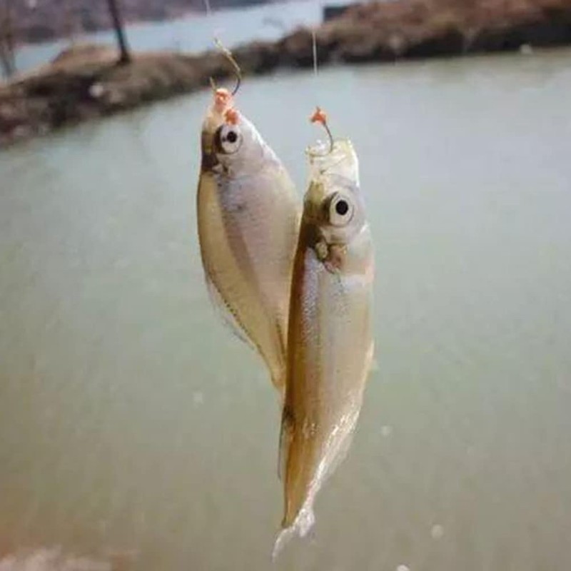 Asotagi Survival Fishing Kit Basic Version Compact Fishing Set Camper,