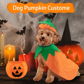 Disfraz de calabaza para perro, disfraz de Halloween para perros, disfraz de calabaza de Halloween con sombrero y bolsas de caramelo para truco o golosina, divertido disfraz de fiesta de cosplay para