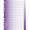 Brunnen 106659560 Ringbuchregister Colour Code (für Ordner und Ringbücher, aus