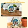 Sea Coral Shells Silent Analog Alarm Clock with Light, Easy