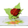CUTPOPUP Ladybug Card Pop Up, 3d Birthday Card Pop Up