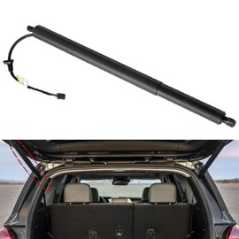 Dtomi Rear Tailgate Power Lift Support Liftgate, Trunk Lift Shock Strut Compatible With Hyundai Vehicle Palisade 2020 2021 2022 2023 2024 Replace# 81831-S8100 81831S8100 (Left)