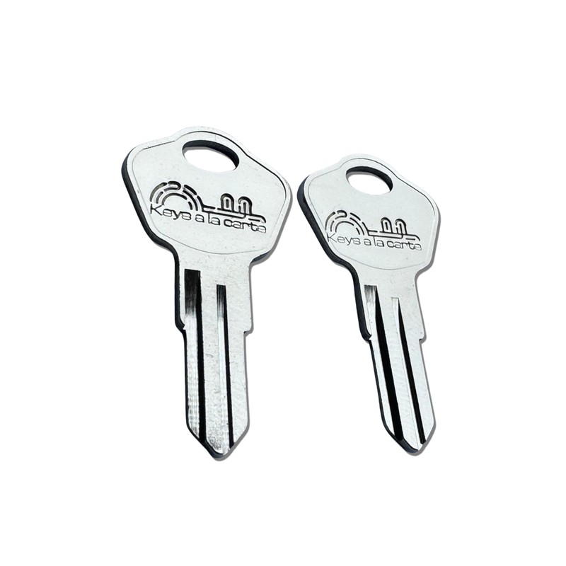 Pair of Replacement Keys for Sentry Safe Lock Boxes, Fire