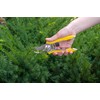 Dramm ColorPoint Stainless Steel Compact Garden Pruning Shears, Hand Pruner,