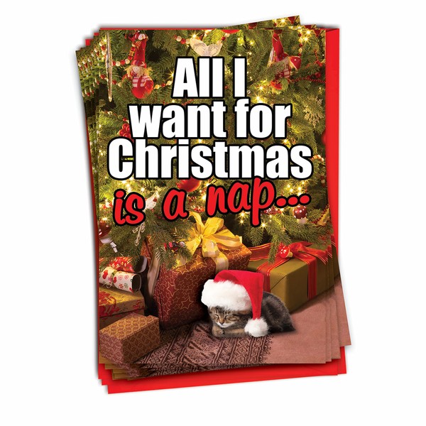 12 ?Cat Nap? Boxed Christmas Cards with Envelopes (4.75 x