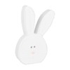 Collins Painting Wooden Spring/Easter Animal Figurine (Peter Bunny), Light Pink
