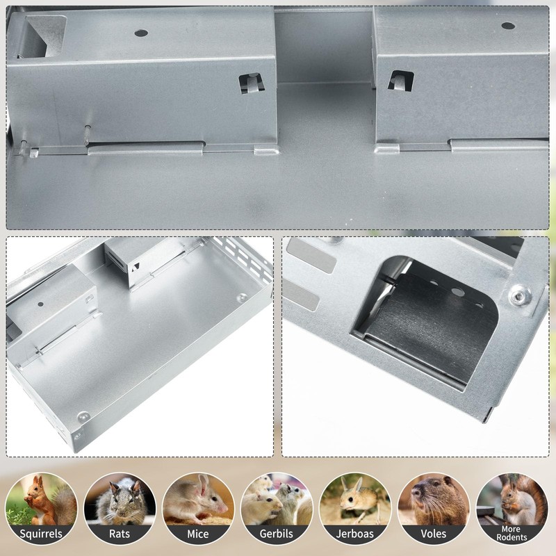 Qualirey 4 Pack Multi Catch Mice Trap Clear Top Humanized