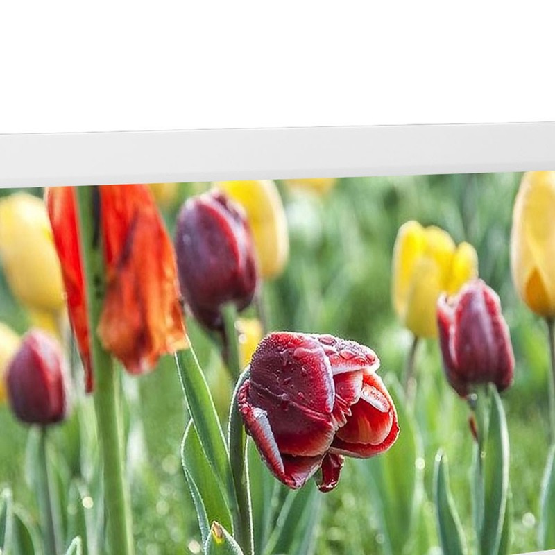 10 Inch Digital Picture Frame HD Intelligent Remote Control Video