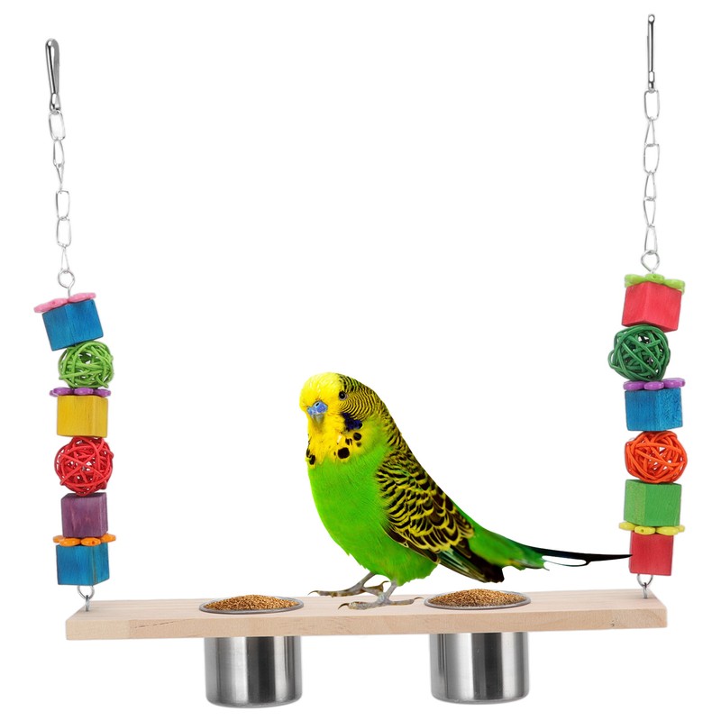 Bird Feeding Dish Cups with Parrot Perch Swing Natural Colorful