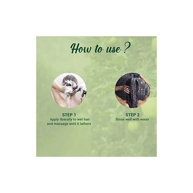 Biotique Green Apple Fresh Daily Purifying Shampoo and Conditioner for