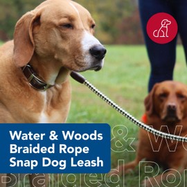 Water & Woods Braided Rope Snap Dog Leash by Coastal Pet - Durable Leash for Dog - Comfortable Pet Leash - Classic Swivel Snap for Tangle-Free Walks - Green & White, 1/2" x 6'