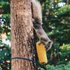 PATIKIL Hanging Squirrel Feeder 37inch, Outside Corn Cob Holder for