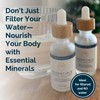 Mayu Concentrated Ionic Trace Mineral Drops - Rich Concentrate Electrolytes: