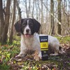 Animology Fox Poo Deodorising Dog Shampoo, Twin Pack, 250ml