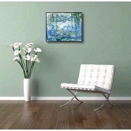 NIHO-JIUMA Diamond Painting Kits Monet's Water Lily,5D Diamond Art Kits Full Drill Canvas Painting Gift for Adults,Home Decorative(30x40cm/12x16 inches)