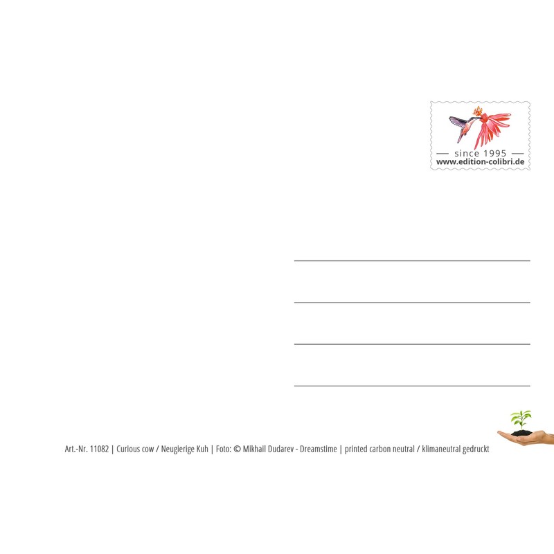 Edition Colibri Funny Cows 2 Postcards (10529)
