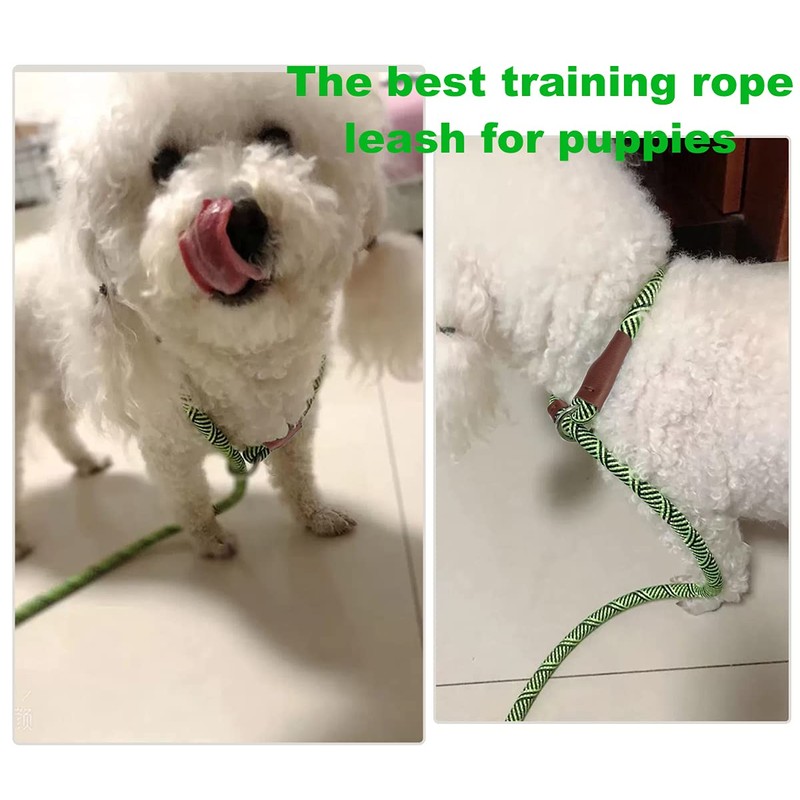 Mycicy Slip Lead Dog Leash, 1/4" x 5ft No Pull