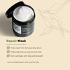 Lazal Teague Intensive Repair Mask, 8.5 fl oz (250 ml),