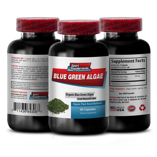 Pure Herbal Supplement - Klamath Blue Green Algae 500mg - Increase Energy Levels, Improve Digestion and Enhance Immune System, spirulina, chlorella, Klamath Blue Green Algae Powder - 1B 60 Capsules