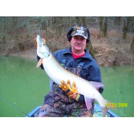 4.5" RF Gillman Glide Bait Bass Musky Striper Fishing Big Lure Multi Jointed Shad Trout Kits Slow Sinking or Floating (Silver Shiner, Sink)