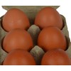 Supa Egg Boxes, 24-Piece, Traditional Fibre Egg Box, 100% Recyclable