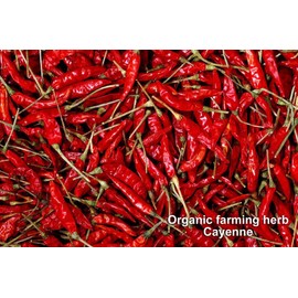 EXCECTIC Cayenne E354 400 mg x 135 capsules