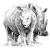 Royal & Langnickel Rhino Pair A4 Sketching Made Easy Art